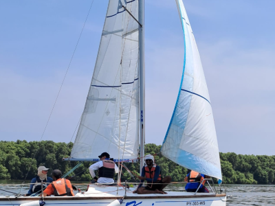 mangrove-sail